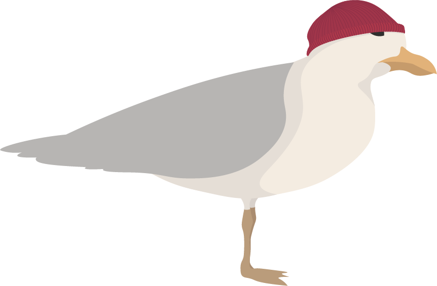 illustration of a seagull with a red cap